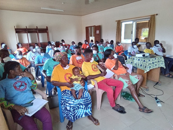 Intermittent Preventive Therapy in Pregnancy